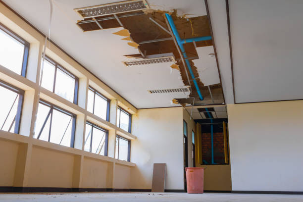 Best Flooded house restoration  in Le Sueur, MN