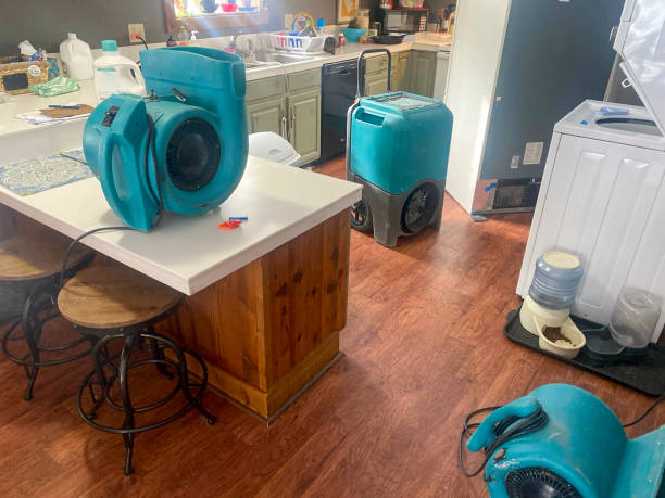 Best Residential water damage restoration  in Le Sueur, MN