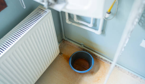 Best Mold removal after water damage  in Le Sueur, MN