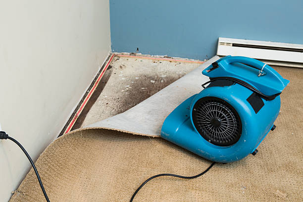 Best Basement water damage restoration  in Le Sueur, MN